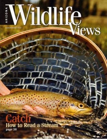 Arizona Wildlife Views Magazine Subscription